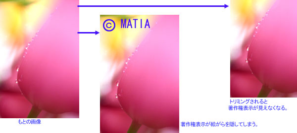 �d�q�������ł͂Ȃ����@�Œ��쌠�\������ꂽ�ꍇ