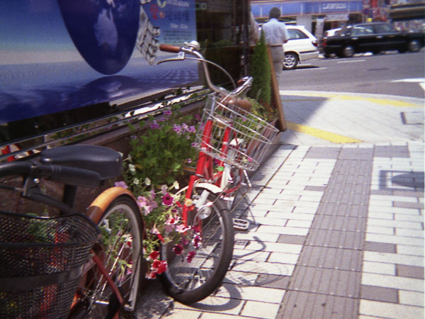 photos by harinezumi camera